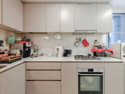 The Visionaire (D27), Condominium #557279811